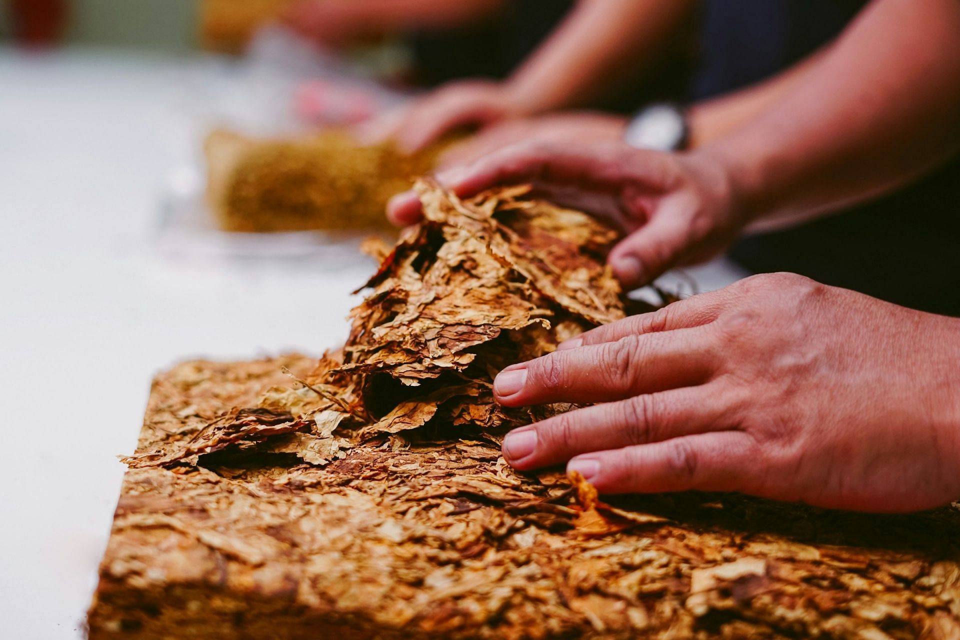 Quit chewing tobacco (Image via Unsplash/Afif Ramdhasuma)